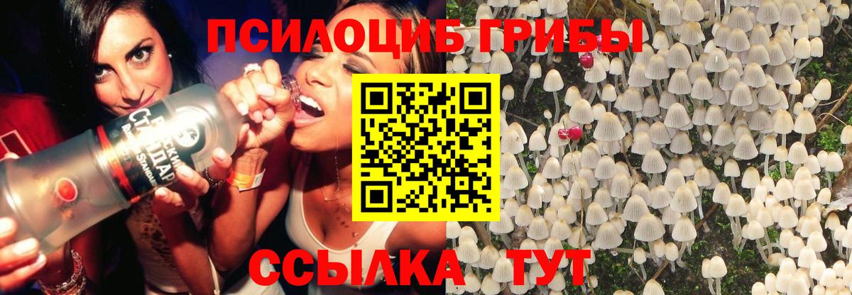 Галлюциногенные грибы Magic Shrooms Мелеуз