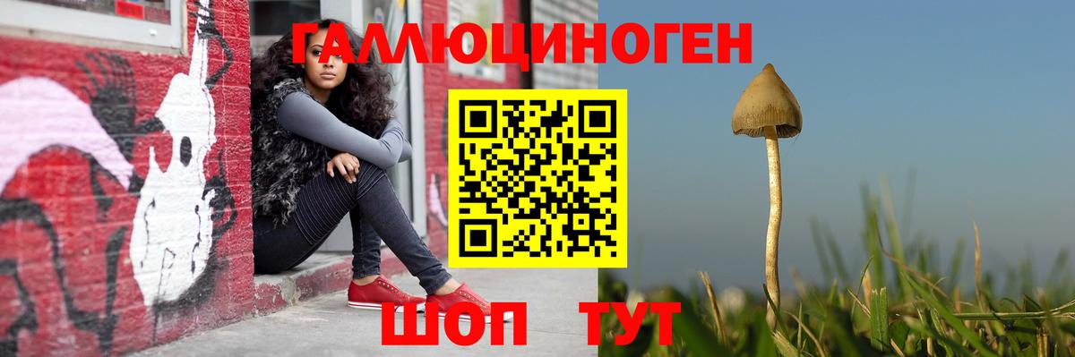 Мелеуз  Псилоцибиновые грибы Psilocybe  цены   Вход с VPN 